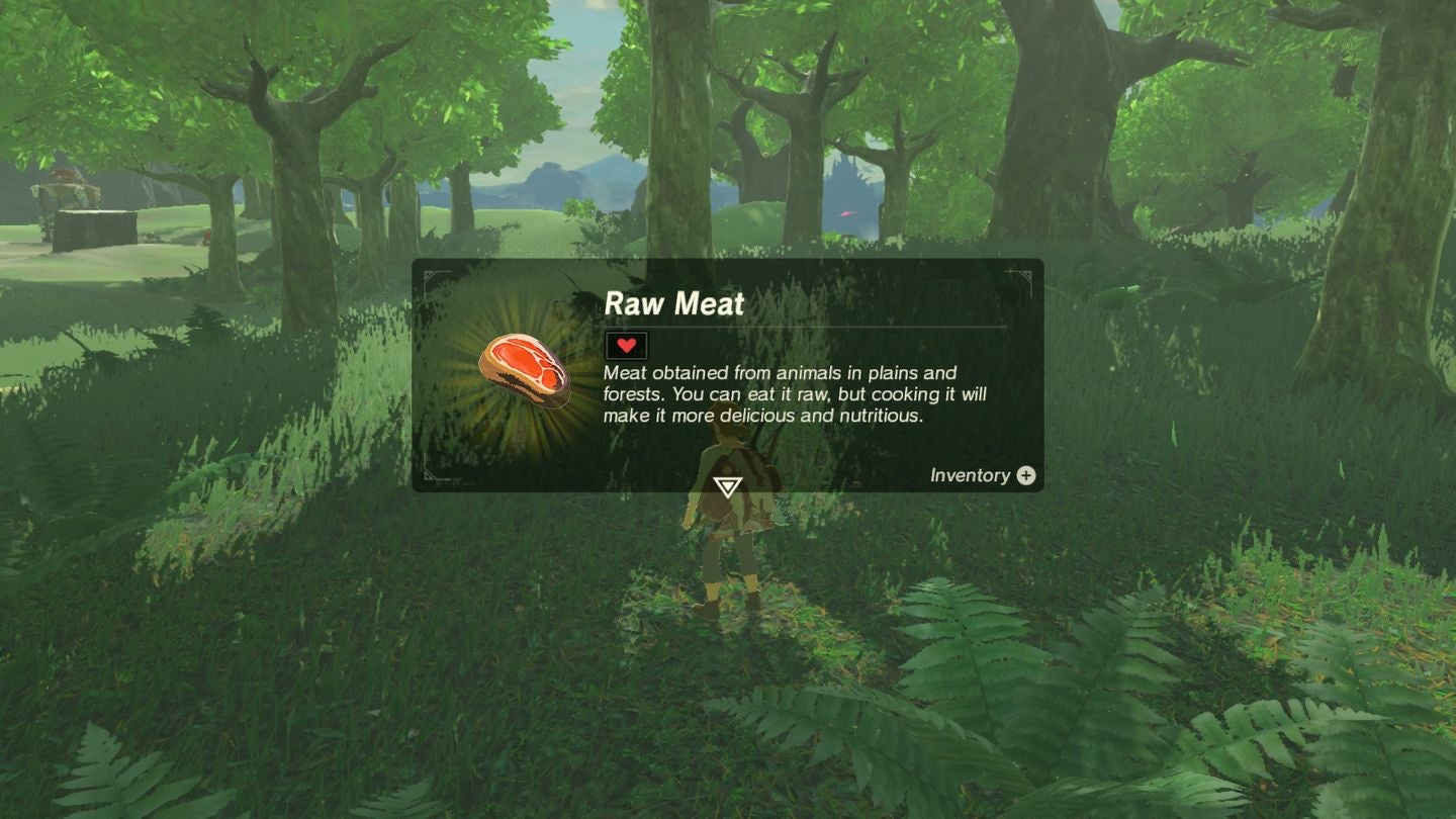 Zelda Breath of the Wild Getting cold resistance early with warm